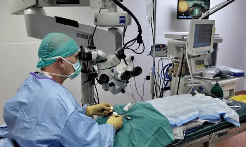 Cataract Surgery in Dogs