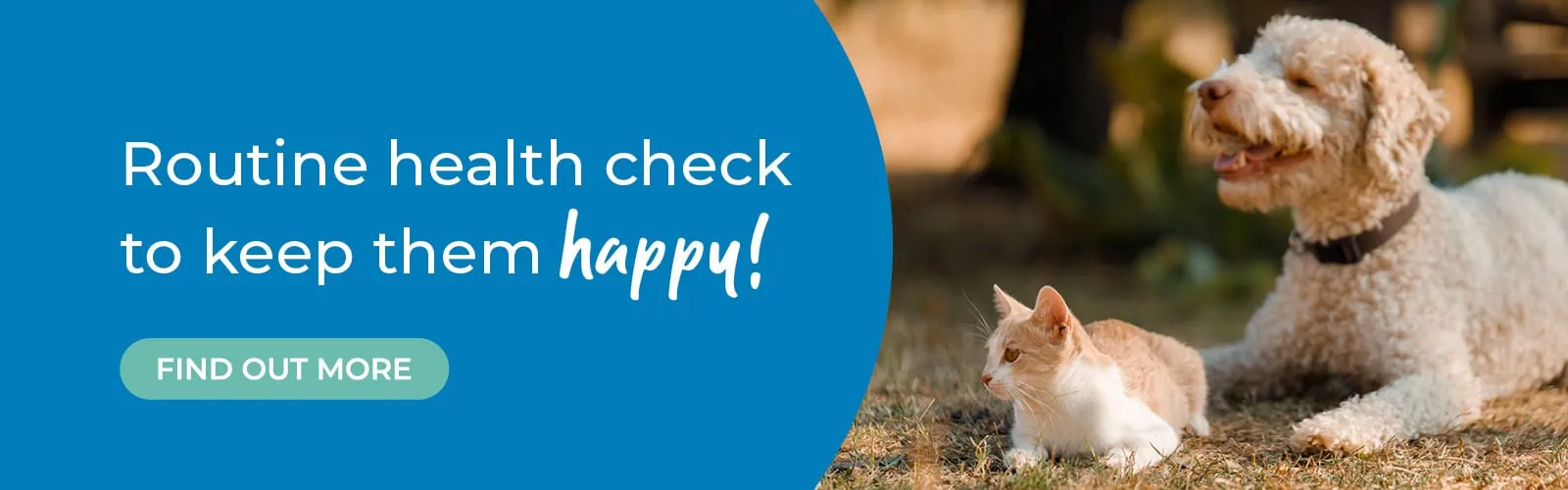 Primrose Hill Veterinary Hospital in Sallynoggin, County Dublin