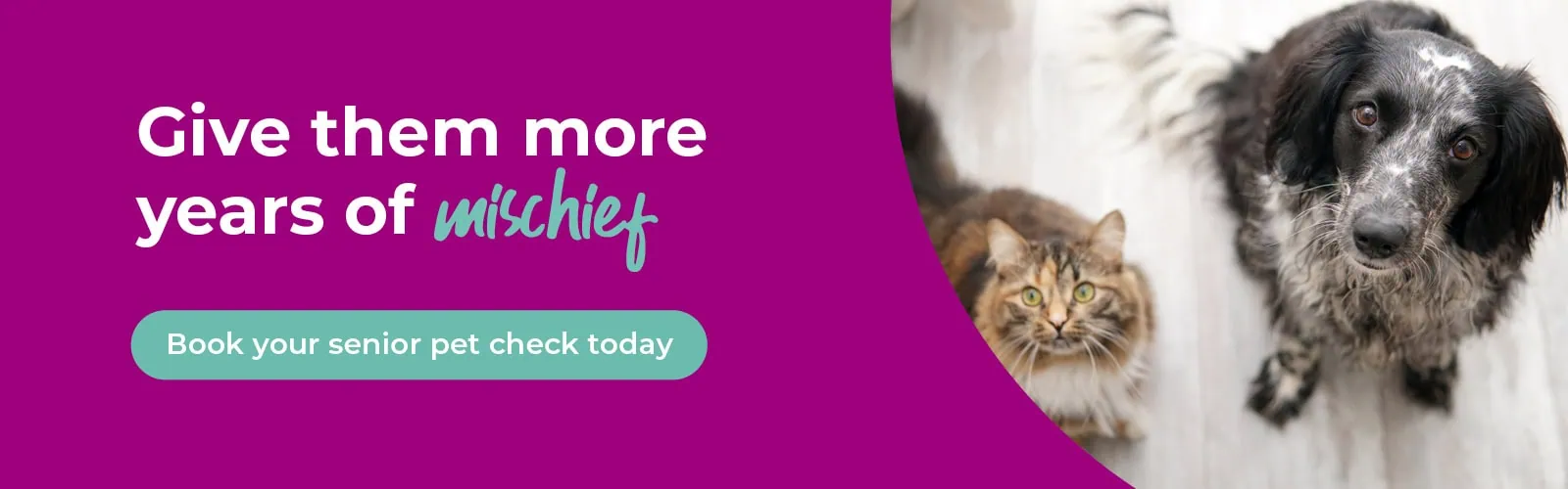 Primrose Hill Veterinary Hospital in Sallynoggin, County Dublin