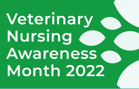 Veterinary Nursing Awareness Month